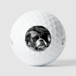 Boxer Hund auf Windows-CSS gbcna Golfball