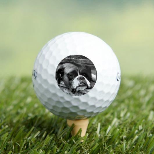 Boxer Hund auf Windows-CSS gbcna Golfball (Insitu T-Shirt)
