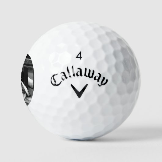 Boxer Hund auf Windows-CSS gbcna Golfball (Logo)