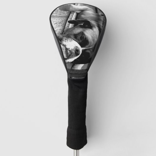 Boxer Hund auf Windows-dccna Golf Headcover (Vorderseite)