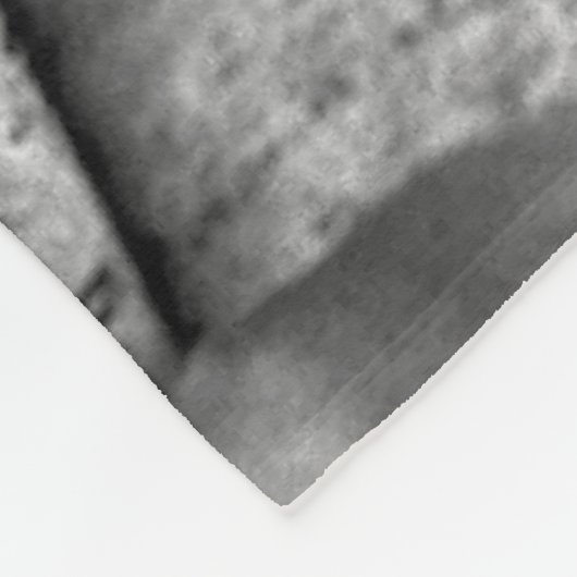 Boxer Hund auf Windows-Fbcnm Fleecedecke (Ecke)