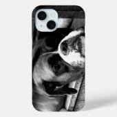 Boxer Hund auf Windows iphcna Case-Mate iPhone Hülle (Rückseite)