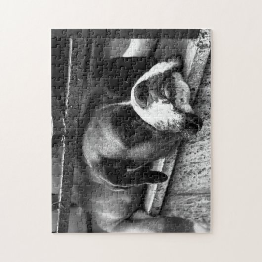 Boxer Hund auf Windows jp arc1 Puzzle (Vertikal)