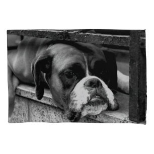Boxer Hund auf Windows Kissenbezug