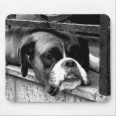 Boxer Hund auf Windows mpcnm Mousepad (Vorne)