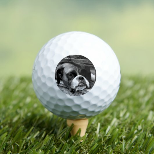 Boxer Hund auf Windows sein6 gbcna Golfball (Insitu T-Shirt)