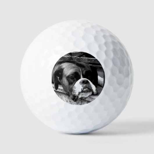 Boxer Hund auf Windows über gbcnm Golfball (Vorderseite)