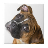 Boxer-Hund-Dekorfliese Fliese (Vorderseite)
