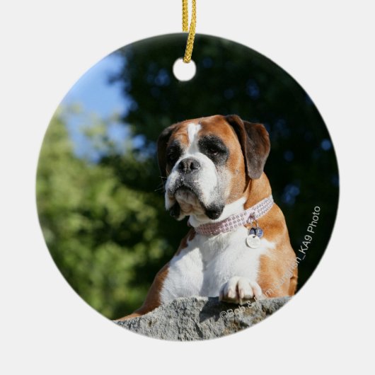 Boxer-Hund, der auf einen Felsen legt Keramikornament (Vorne)