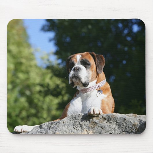 Boxer-Hund, der auf einen Felsen legt Mousepad (Vorne)
