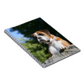 Boxer-Hund, der auf einen Felsen legt Notizblock (Rechte Seite)