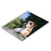 Boxer-Hund, der auf einen Felsen legt Notizblock (Linke Seite)