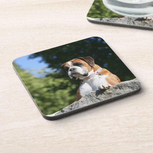 Boxer-Hund, der auf einen Felsen legt Untersetzer (Linke Seite)