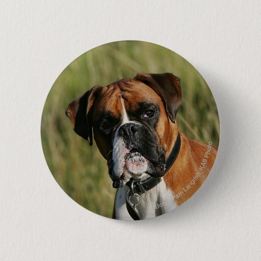 Boxer-Hund, der entlang der Kamera anstarrt Button (Vorderseite)
