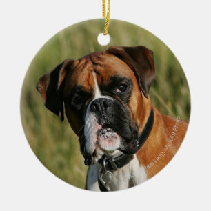 Boxer-Hund, der entlang der Kamera anstarrt Keramik Ornament