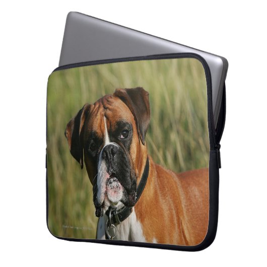 Boxer-Hund, der entlang der Kamera anstarrt Laptopschutzhülle (Vorderseite Links)