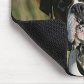 Boxer-Hund, der entlang der Kamera anstarrt Mousepad (Ecke)
