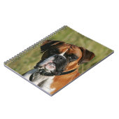 Boxer-Hund, der entlang der Kamera anstarrt Notizblock (Linke Seite)