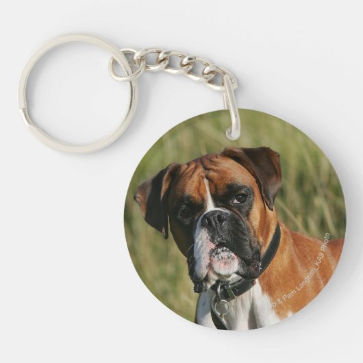 Boxer-Hund, der entlang der Kamera anstarrt Schlüsselanhänger (Vorderseite)