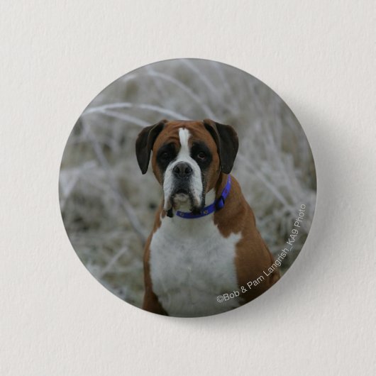 Boxer-Hund, der im Frost sitzt Button (Vorderseite)