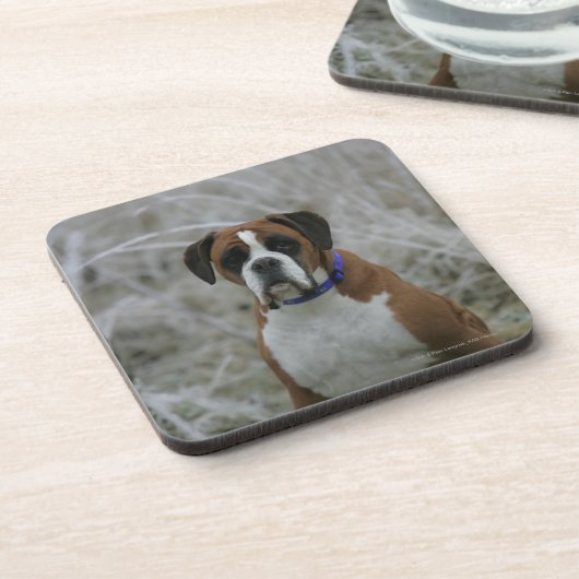 Boxer-Hund, der im Frost sitzt Getränkeuntersetzer (Linke Seite)