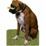 Boxer-Hund Fotoskulptur Magnet<br><div class="desc">Diese Fotoskulptur ist von einem schönen brindle Boxerhund. Sie können diesen Entwurf besonders anfertigen und ihn in einer Vielzahl von Größen bestellen. Dieser Boxerentwurf ist auch verfügbar als geformte, Ausschnittmagneten, Verzierungen, Buttone und Schlüsselanhänger.</div>