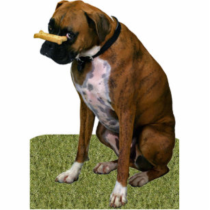 Boxer-Hund Fotoskulptur Magnet