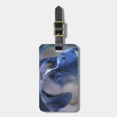 Boxer-Hund Gepäckanhänger (Vorderseite vertikal)