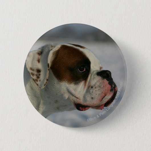 Boxer-Hund im Schnee Button (Vorderseite)