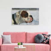 Boxer Hund im Schnee Leinwanddruck (Insitu (Wohnzimmer))