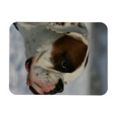 Boxer Hund im Schnee Magnet (Horizontal)