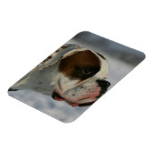 Boxer Hund im Schnee Magnet (Linke Seite)