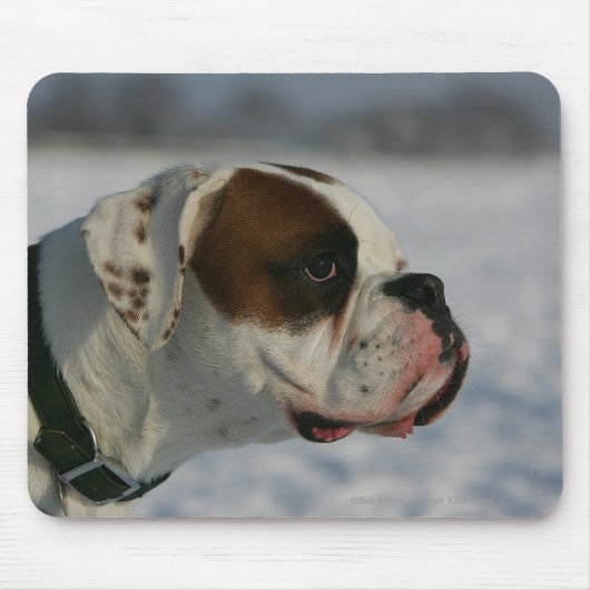 Boxer-Hund im Schnee Mousepad (Vorne)