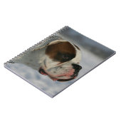 Boxer-Hund im Schnee Notizblock (Linke Seite)