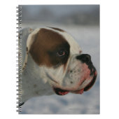 Boxer-Hund im Schnee Notizblock (Vorderseite)