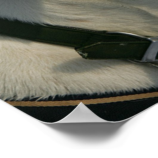 Boxer Hund im Schnee Poster (Ecke)