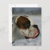 Boxer-Hund im Schnee Postkarte (Vorne/Hinten)