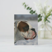 Boxer-Hund im Schnee Postkarte (Stehend Vorderseite)