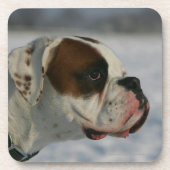 Boxer-Hund im Schnee Untersetzer (Vorderseite)