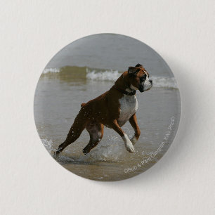 Boxer-Hund im Wasser Button