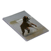 Boxer-Hund im Wasser Notizblock (Rechte Seite)