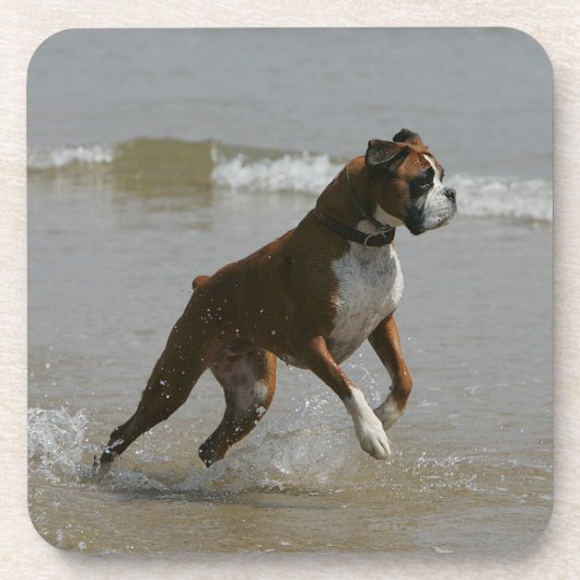 Boxer-Hund im Wasser Untersetzer (Vorderseite)
