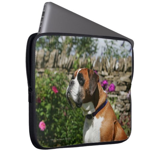 Boxer-Hund in den Blumen Laptopschutzhülle (Vorne Rechts)