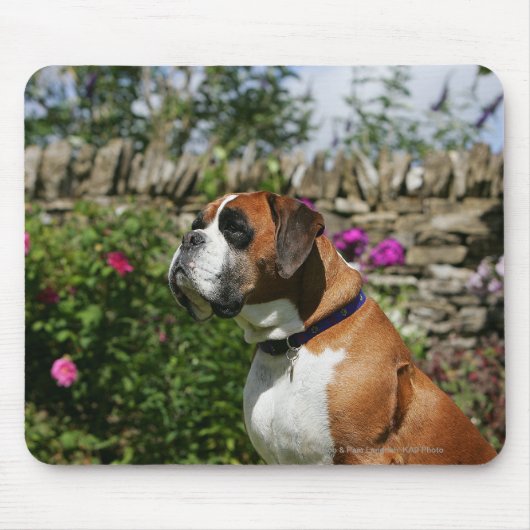 Boxer-Hund in den Blumen Mousepad (Vorne)