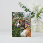 Boxer-Hund in den Blumen Postkarte (Stehend Vorderseite)