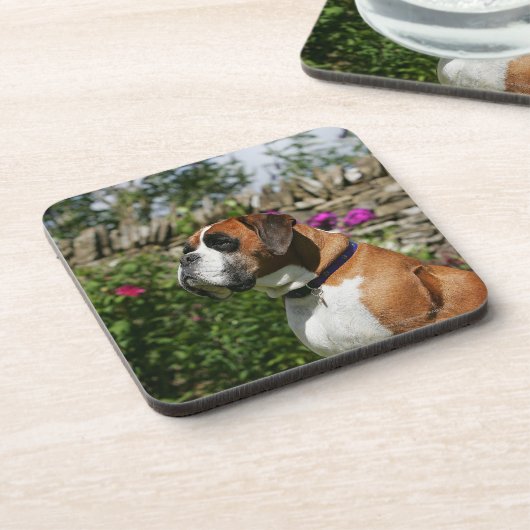 Boxer-Hund in den Blumen Untersetzer (Linke Seite)