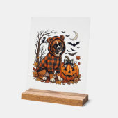 Boxer-Hund Karo Pullover Halloween Kürbis Fledermä Acrylschild (Winkel)