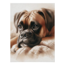 Boxer Hund: Meister von Chill & Expert Snuggler