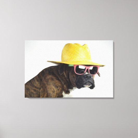 Boxer Hund mit Hut und Brille Leinwanddruck (Vorderseite)