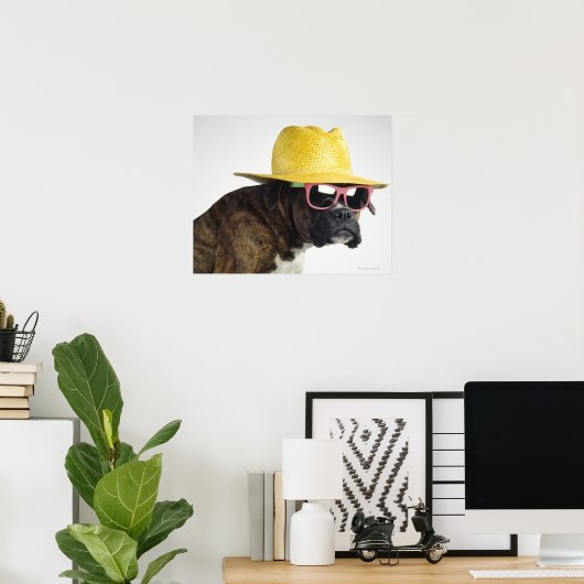 Boxer Hund mit Hut und Brille Poster (Heimbüro)